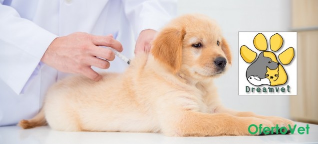 Годишна ваксина за куче + Копрологично изследване от ветеринарна клиника 
