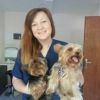 Преглед + годишна ваксинация на куче от Ветеринарна клиника СИТИ