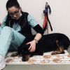 Пакет Грижа през годините за кучета и котки от Ветеринарен кабинет Аврора