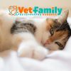 Хотел за котка от Ветеринарна клиника Vet Family