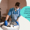 Кастрация на женска котка с предоперативни кръвни изследвания и инхалационна анестезия от Ветеринарна клиника 
