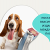 Поставяне на ваксина, чип и издаване на международен паспорт на куче от Ветеринарна клиника 