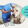 Преглед и почистване на уши на куче от Ветеринарна клиника 