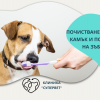 Почистване на зъбен камък и полиране на зъбите на куче от Ветеринарна клиника 