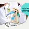 Профилактичен преглед на куче от Ветеринарна клиника 