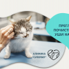 Преглед и почистване на уши на котка от Ветеринарна клиника 