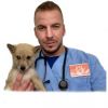 Кастрация на мъжко или женско куче с включена венозна анестезия от Ветеринарна клиника Vet Family