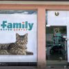 Хотел за котка от Ветеринарна клиника Vet Family