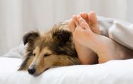 Да делите леглото си с куче може в някои случаи да бъде лошо за съня и здравето ви